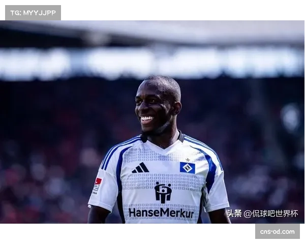 艾禾斯堡与汉诺威2-2握手言和，佩特科夫与基纳各献关键入球